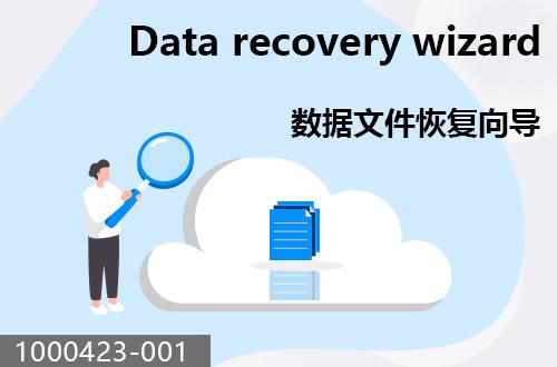 宏宇數(shù)據(jù)恢復(fù)向?qū)?                                  1000423-001